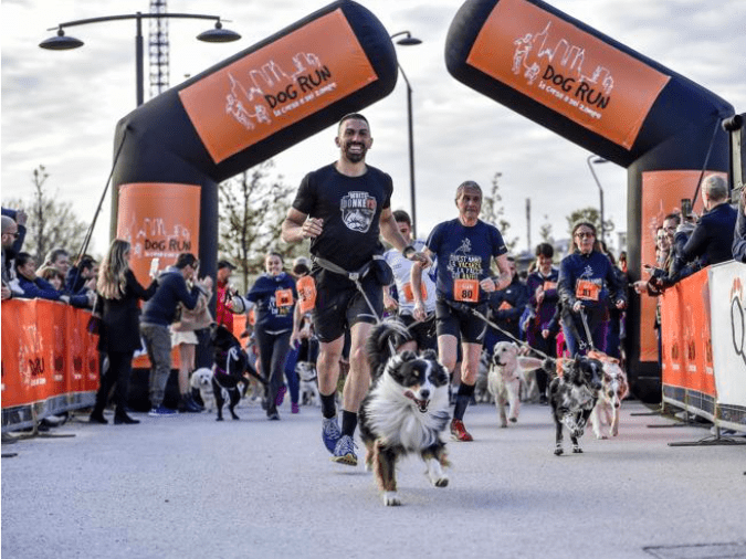 Dog Run Milano Marathon