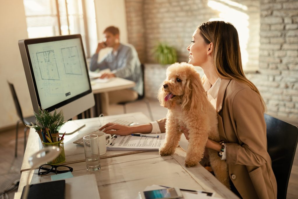 Studio Harvard Business Review: i vantaggi di un ambiente di lavoro pet-friendly cane in ufficio pet-friendly