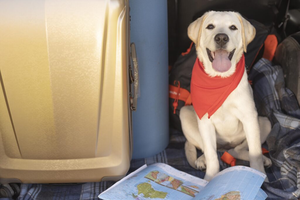 Nasce Animal Travel Award, dedicato al Turismo Pet: scopri i premiati!
