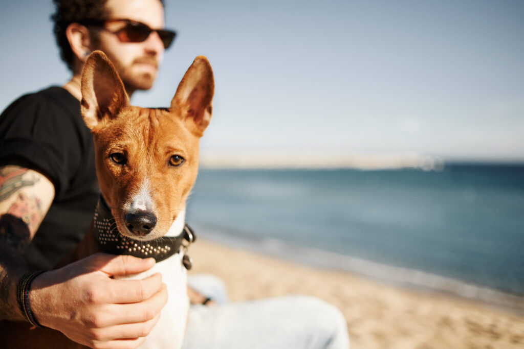 padrone e cane in una pausa al sole sulla spiaggia benefici del sole e della elioterapia