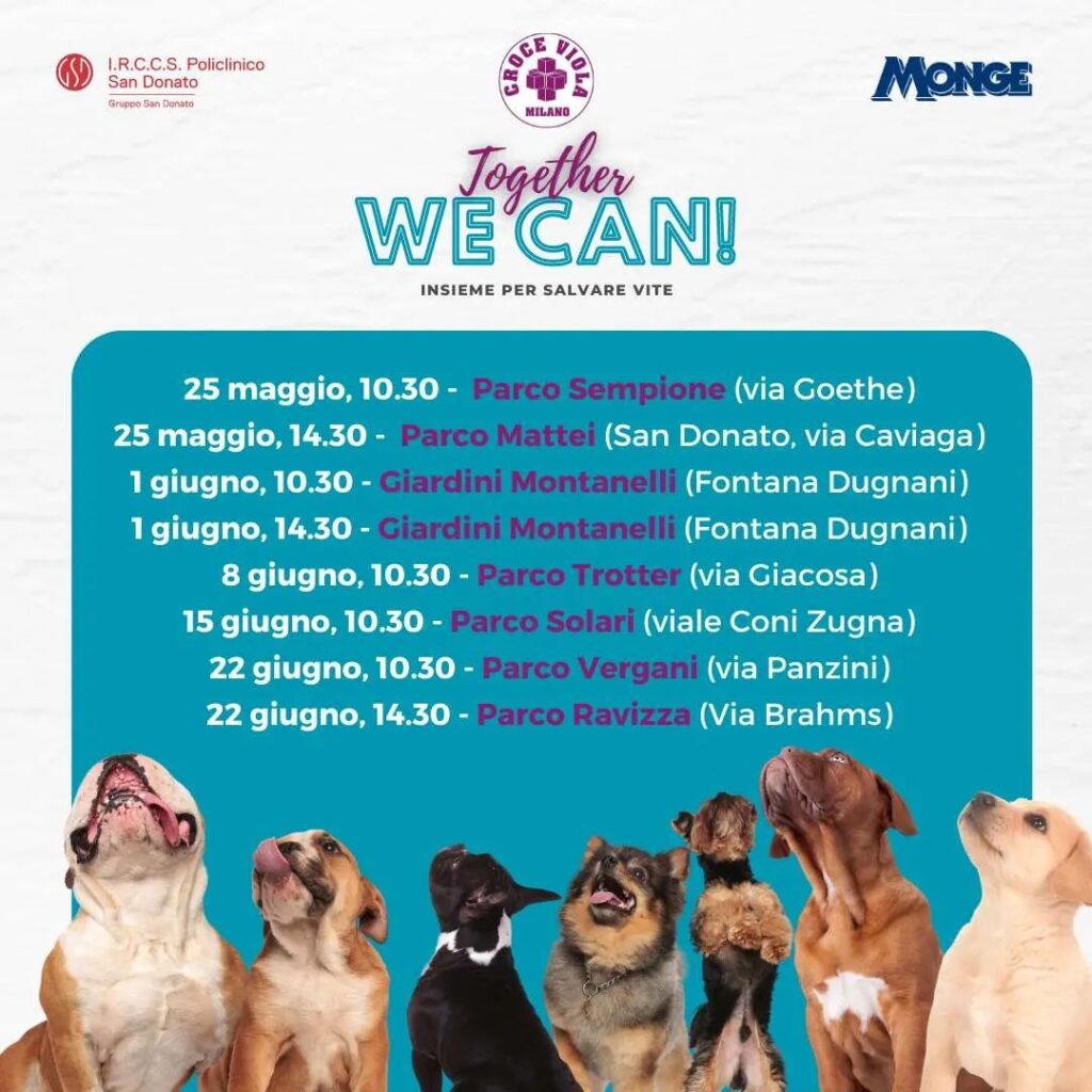 Croce viola iniziativa together we can