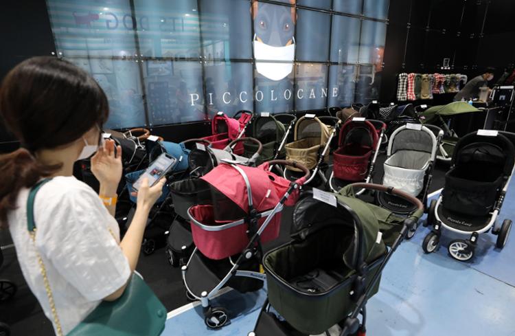 Sud Corea: le vendite di passeggini per animali domestici superano per la prima volta quelle per bambini