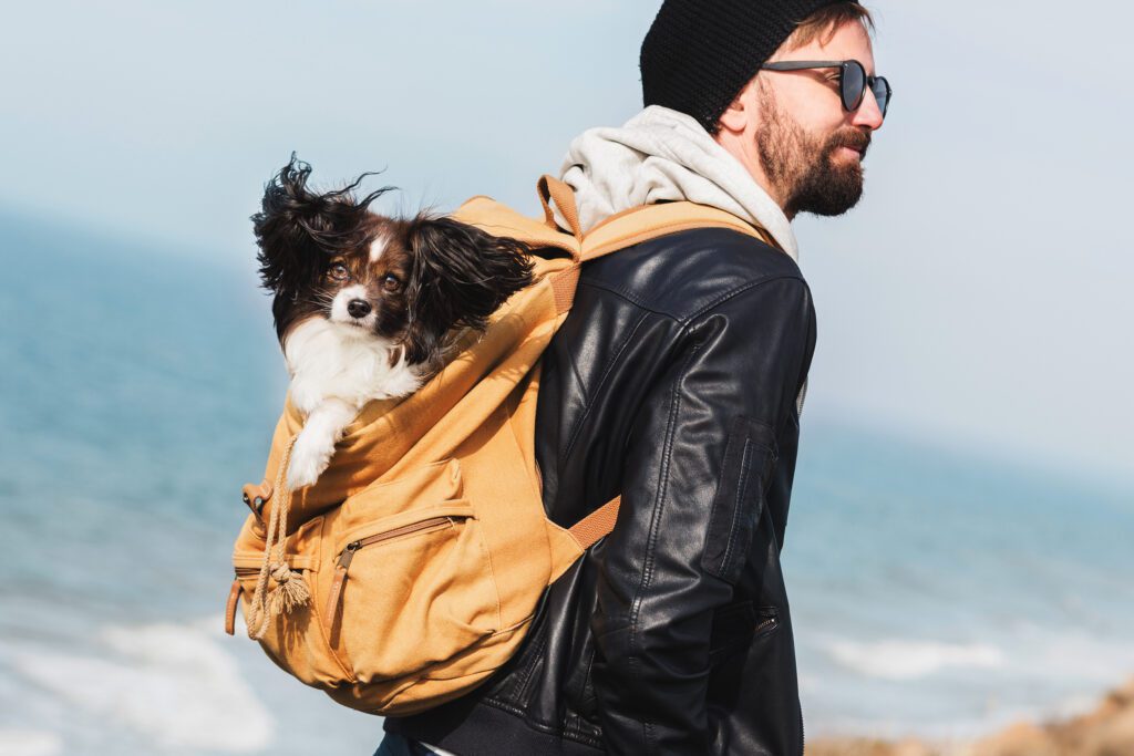 vacanza pet-friendly