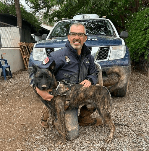 heroes de cuatros patas