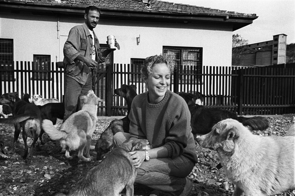 "I cani, la mia vita": l'incredibile storia di Sara Turetta, fondatrice di Save the Dogs and Other Animals sara turetta save the dogs