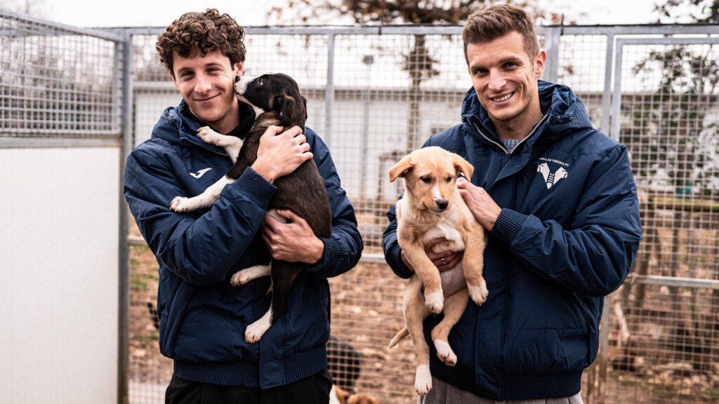 hellas verona cuccioli enpa