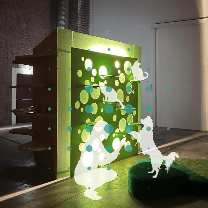 pet design
