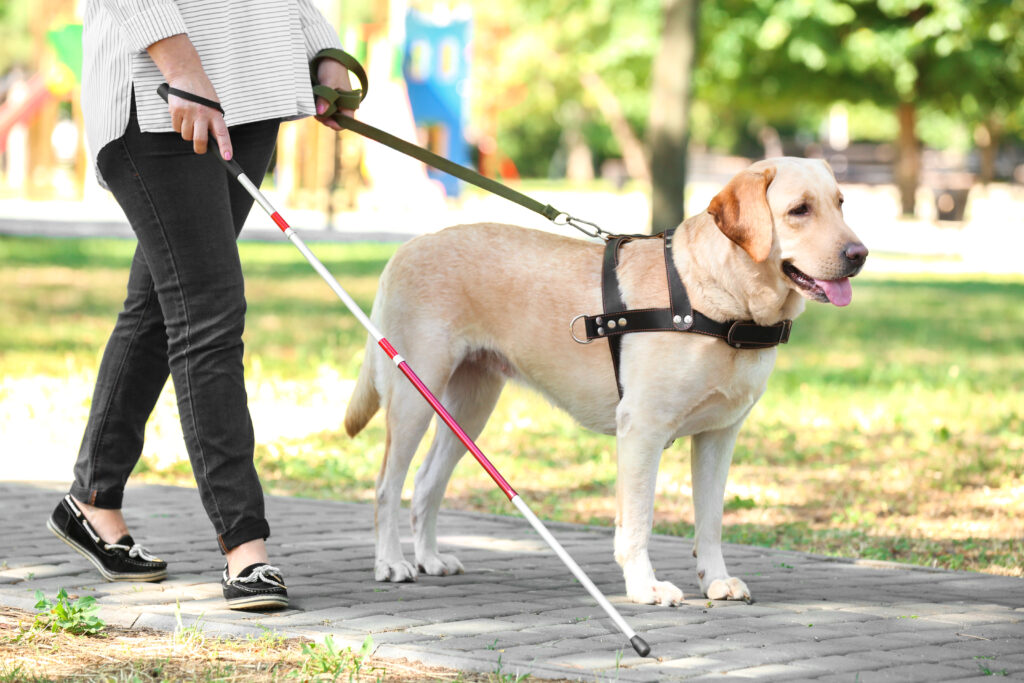Ti piacciono i cani e le buone pratiche? "Fa' la cosa giusta" è quello che fa per te!