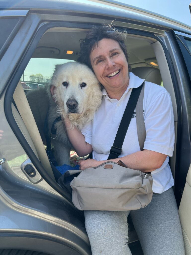 Good news! Gabbie vuote al Rifugio UAI!