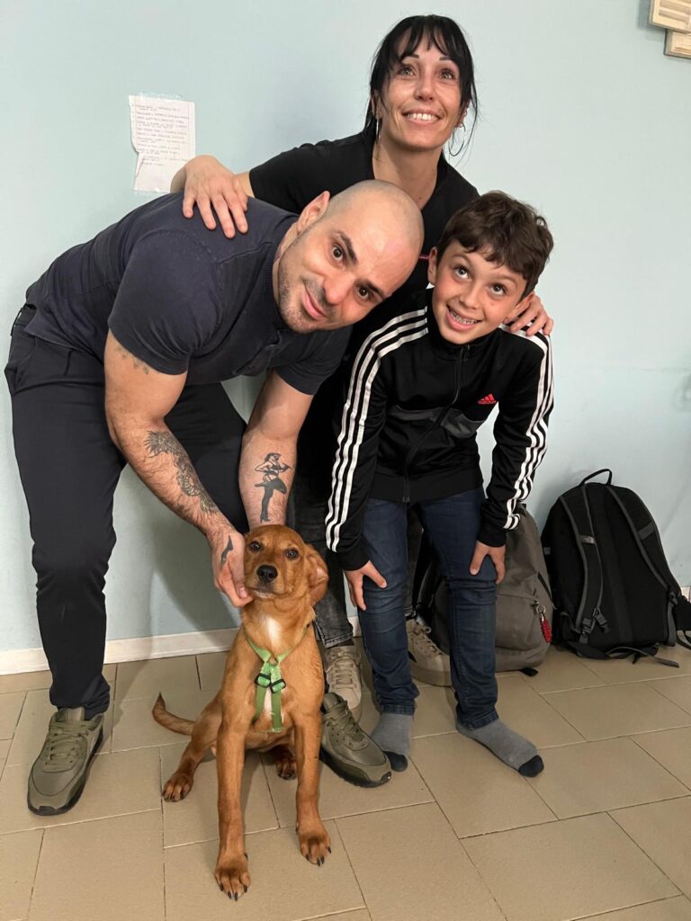 Good news! Gabbie vuote al Rifugio UAI!