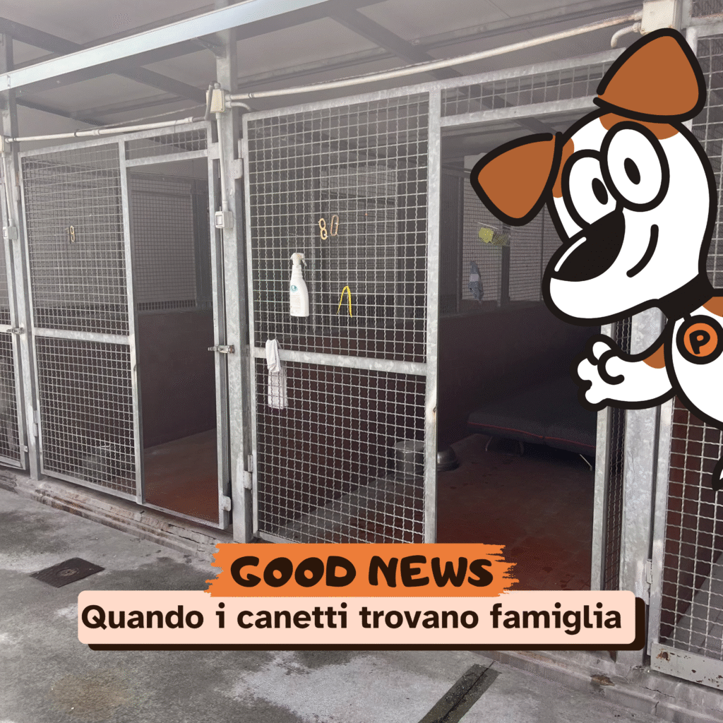 Good news! Gabbie vuote al Rifugio UAI!