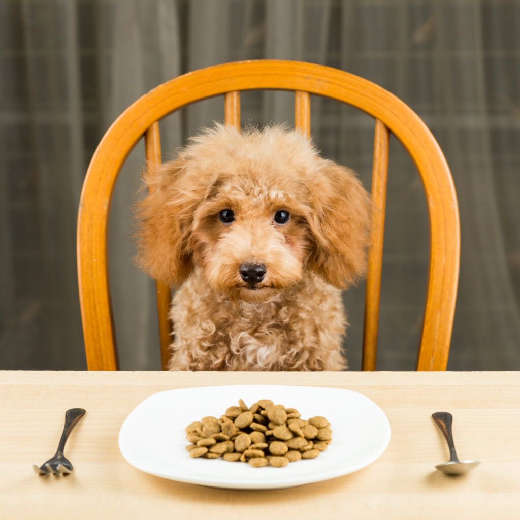 pet food trend osservatorio Immagino GS1 Italy