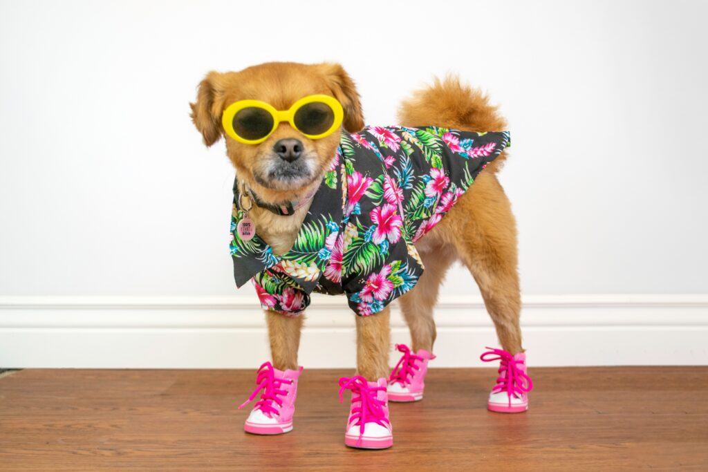 Abbigliamento Animali