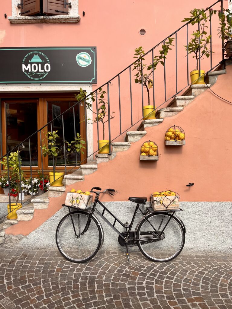LIMONE SUL GARDA PET-FRIENDLY