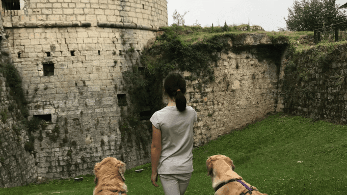 we dog castello dog-friendly brescia