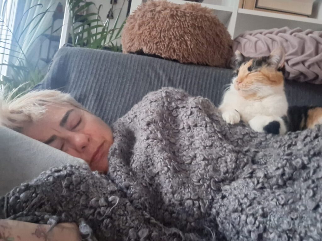 luoghi comuni gatti