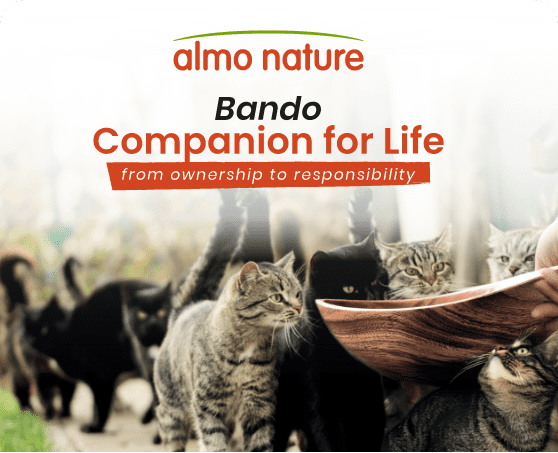 almo nature companion for life contro randagismo