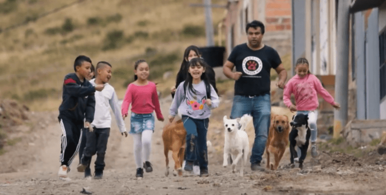 A Bogotà Gli Animali Entrano A Scuola Grazie A Fundación Amigos De 4 Patas