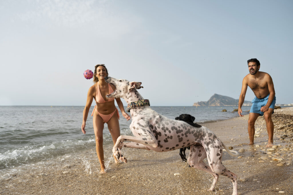 spiagge dog-friendly in Italia