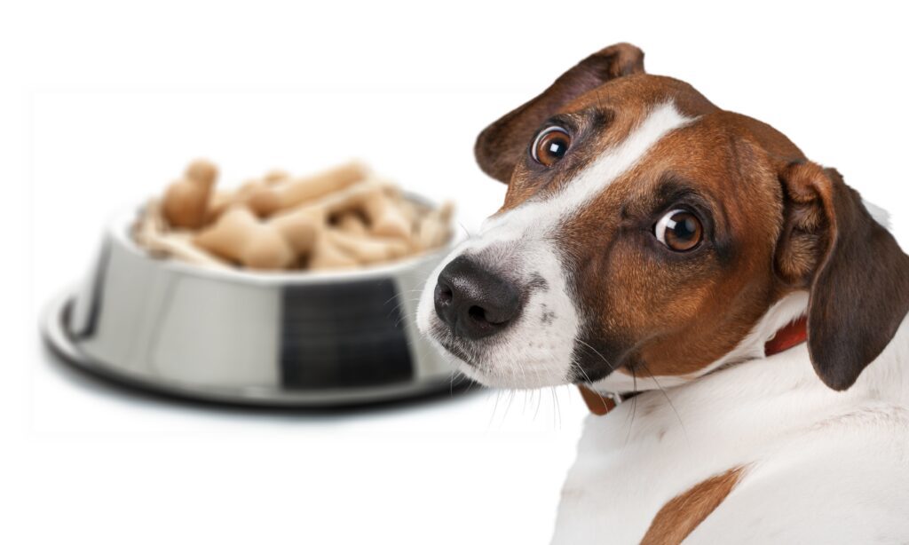 linee guida fediaf cibo cani