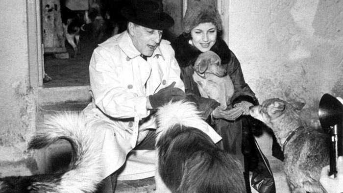 L’Ospizio dei Trovatelli di Totò: la storia del rifugio che salvò centinaia di cani totò ospizio dei trovatelli cani