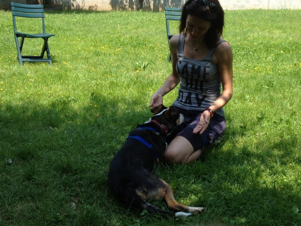 🎉 I miei primi 50 anni... canini!