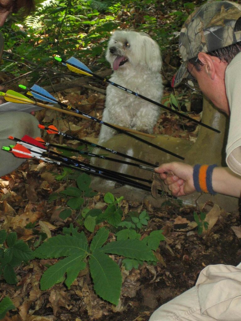 🎉 I miei primi 50 anni... canini!
