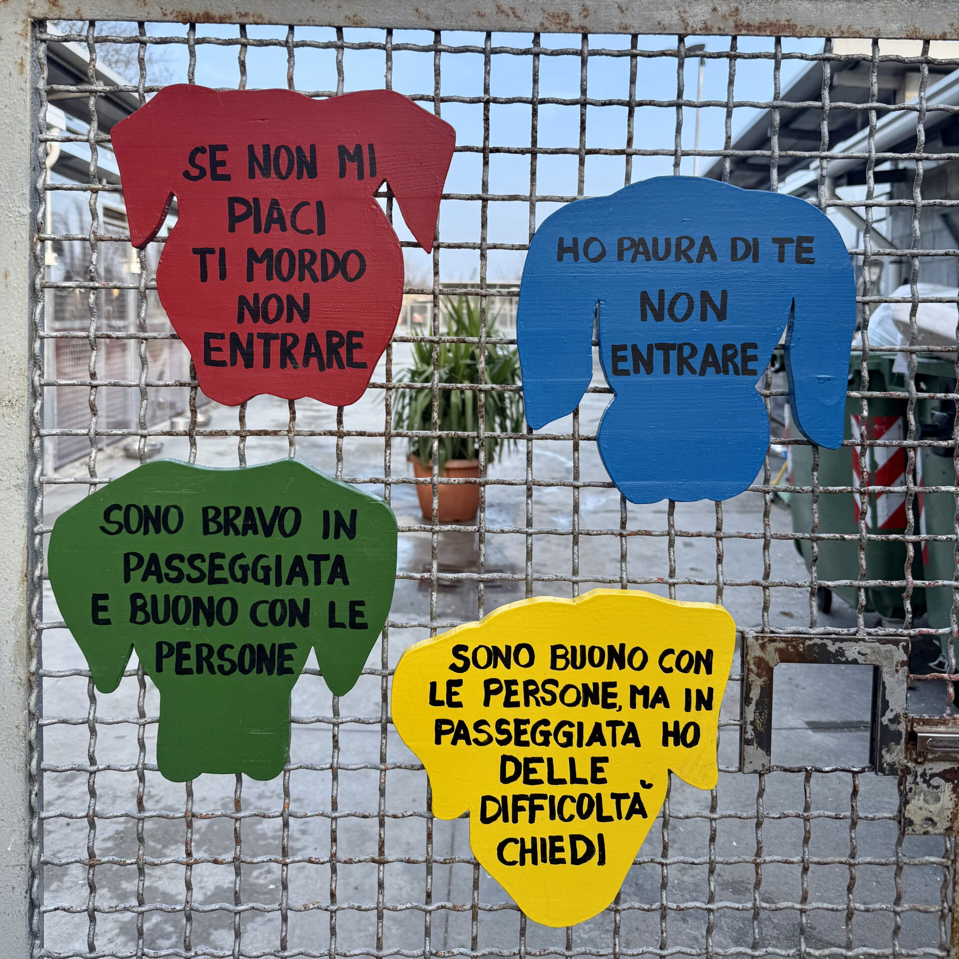 Ora ti spiego come diventare volontario UAI (e perché ti piacerà) UAI RIFUGIO ANIMALI