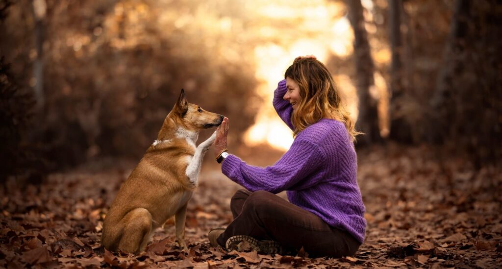 cane assistenza uditiva