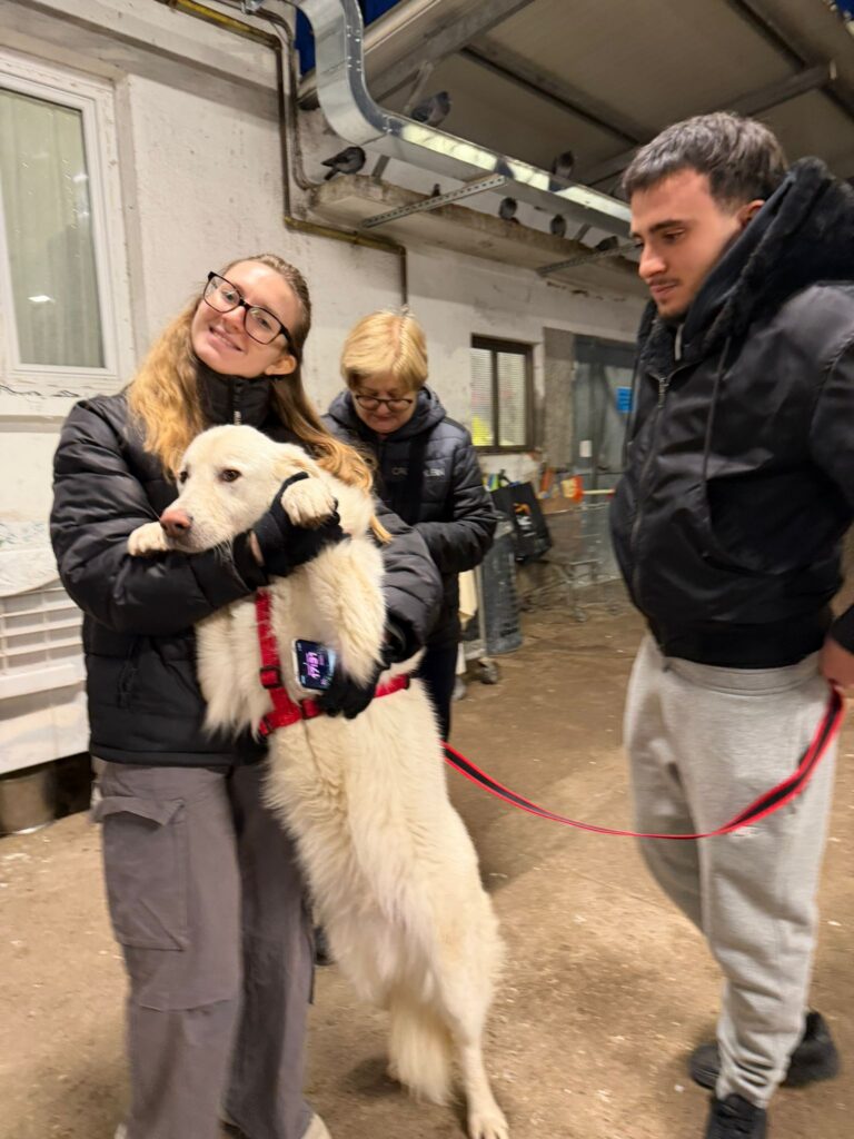 Ora ti spiego come diventare volontario UAI (e perché ti piacerà)
