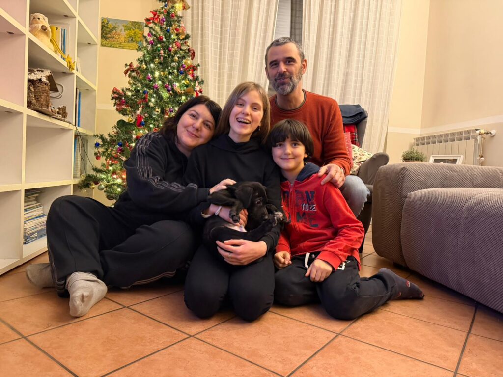 Ora ti spiego come diventare volontario UAI (e perché ti piacerà)