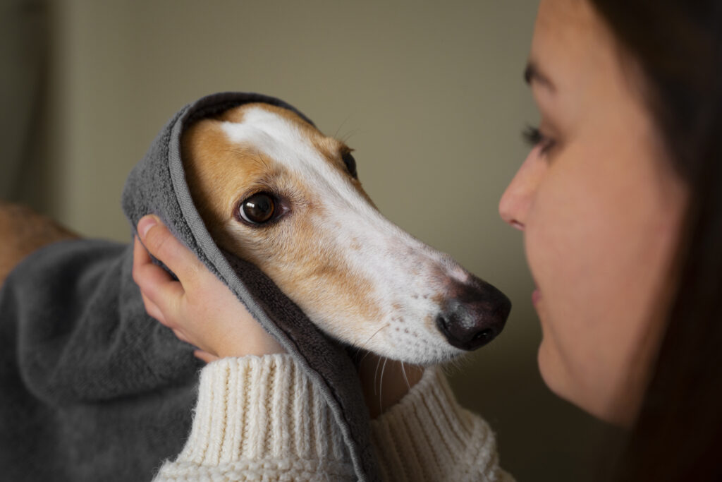 Cane osserva il volto di una persona e le sue espressioni emotive